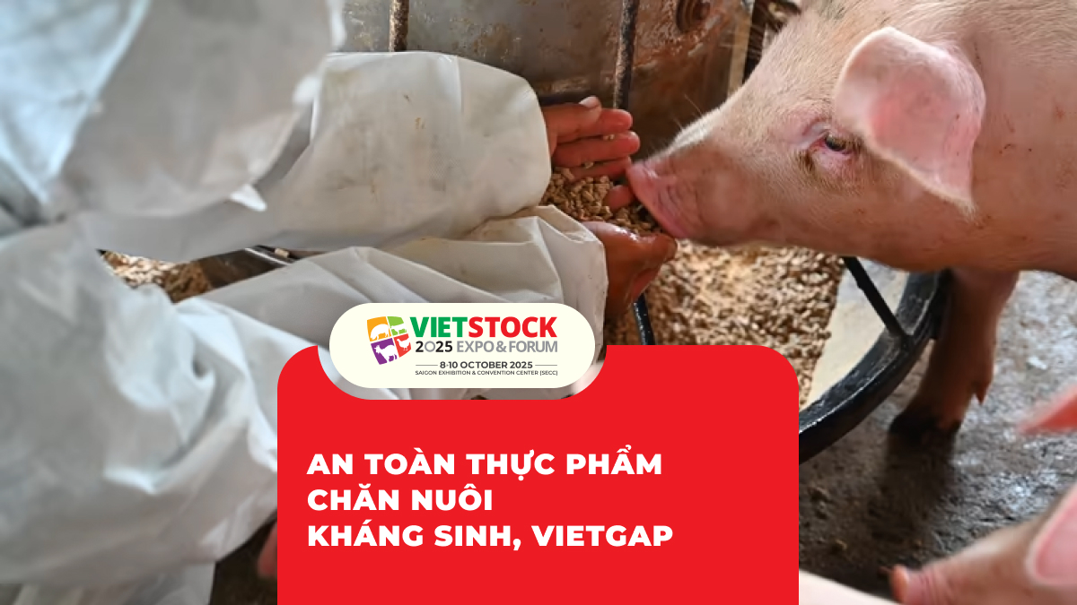 An Toàn Thực Phẩm Chăn Nuôi Kháng Sinh, VietGAp